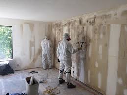 Best Mold Removal for HVAC Installations  in Ellaville, GA